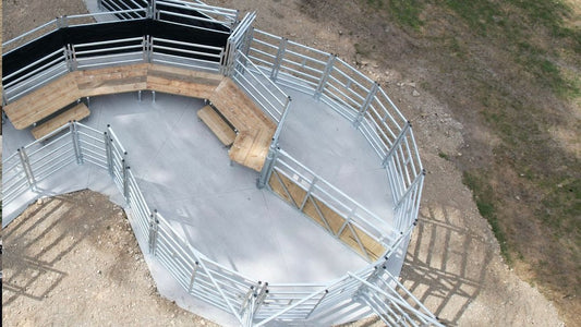 Should Cattle Yards Have a Circular Forcing Pen?