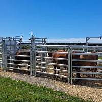 Loading Ramp